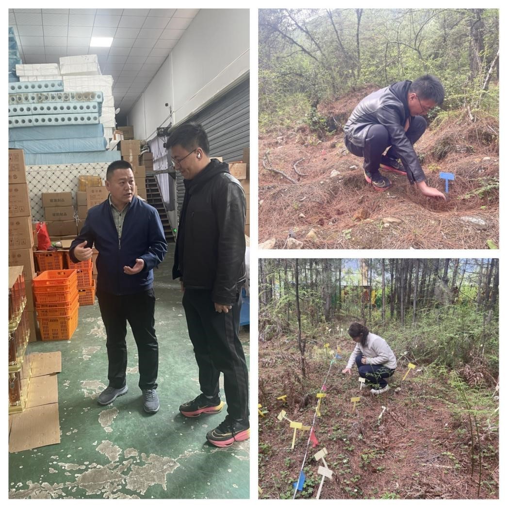 bevictor伟德官网